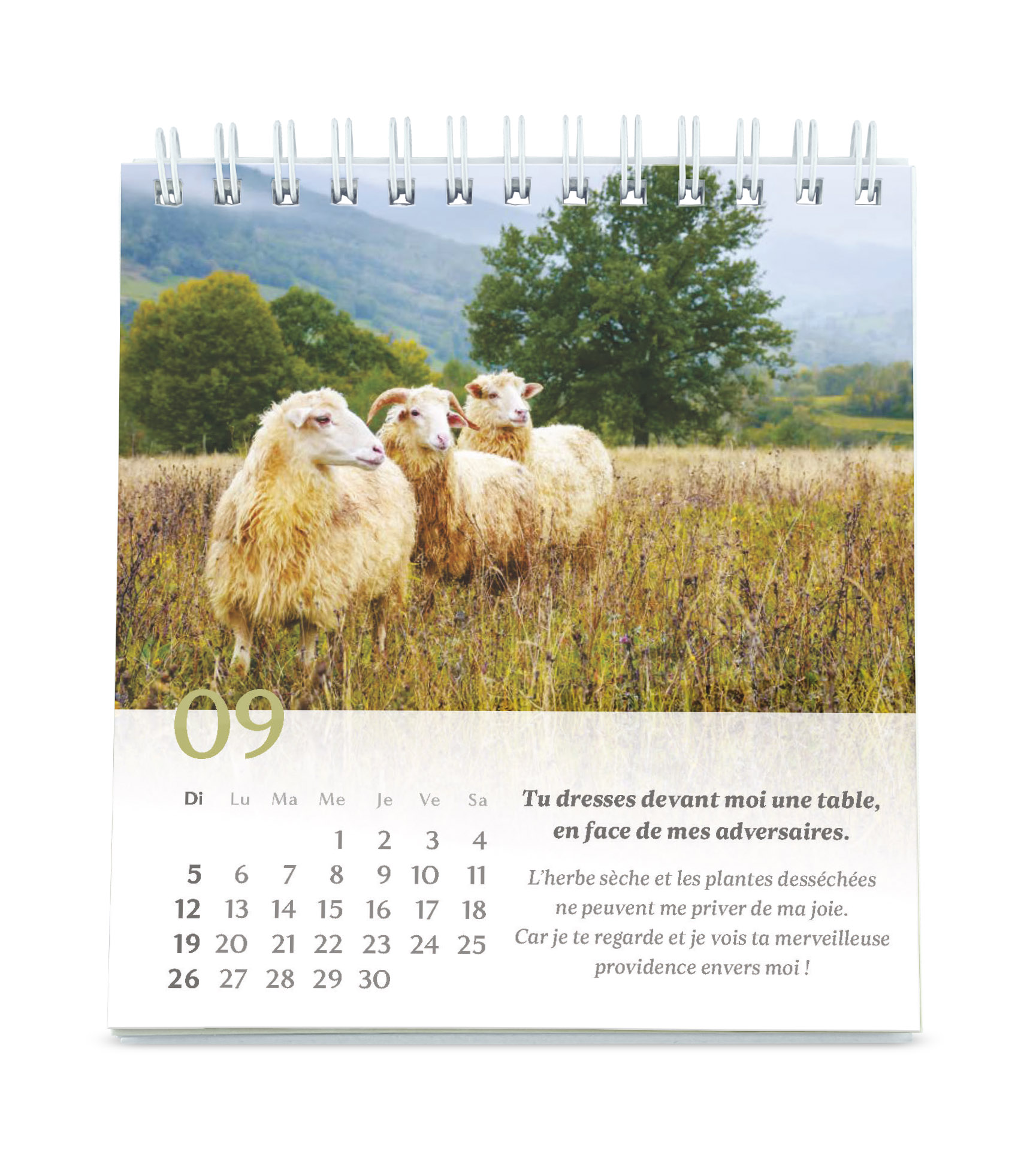 Psaume 23 - Petit format - calendrier à poser