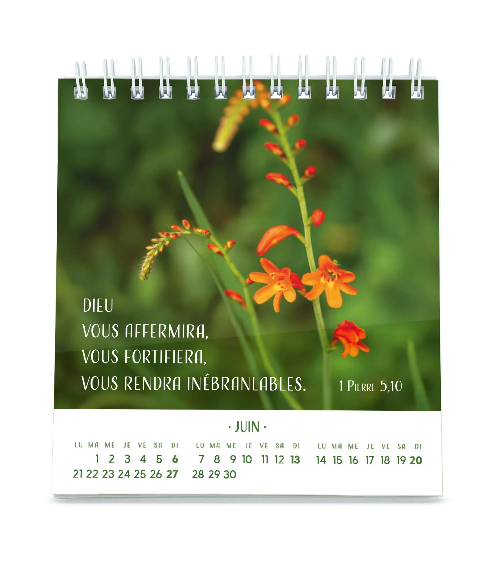 Pensées fleuries - calendrier de table
