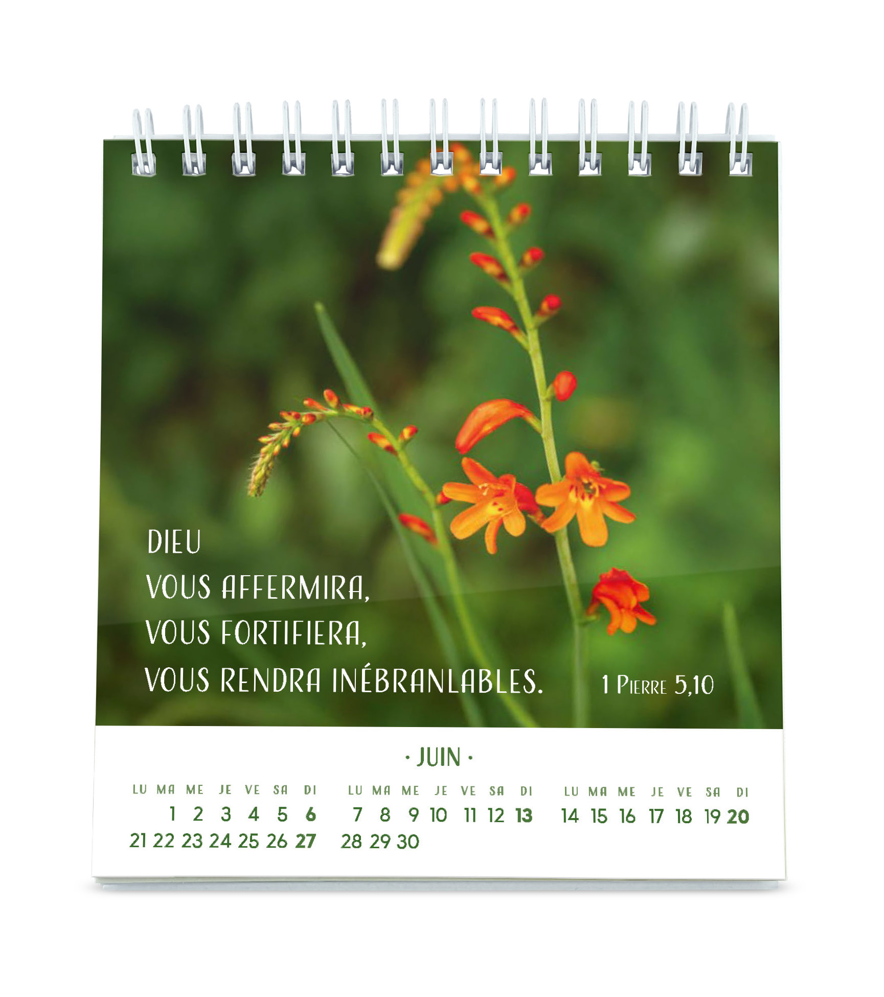 Pensées fleuries - calendrier de table
