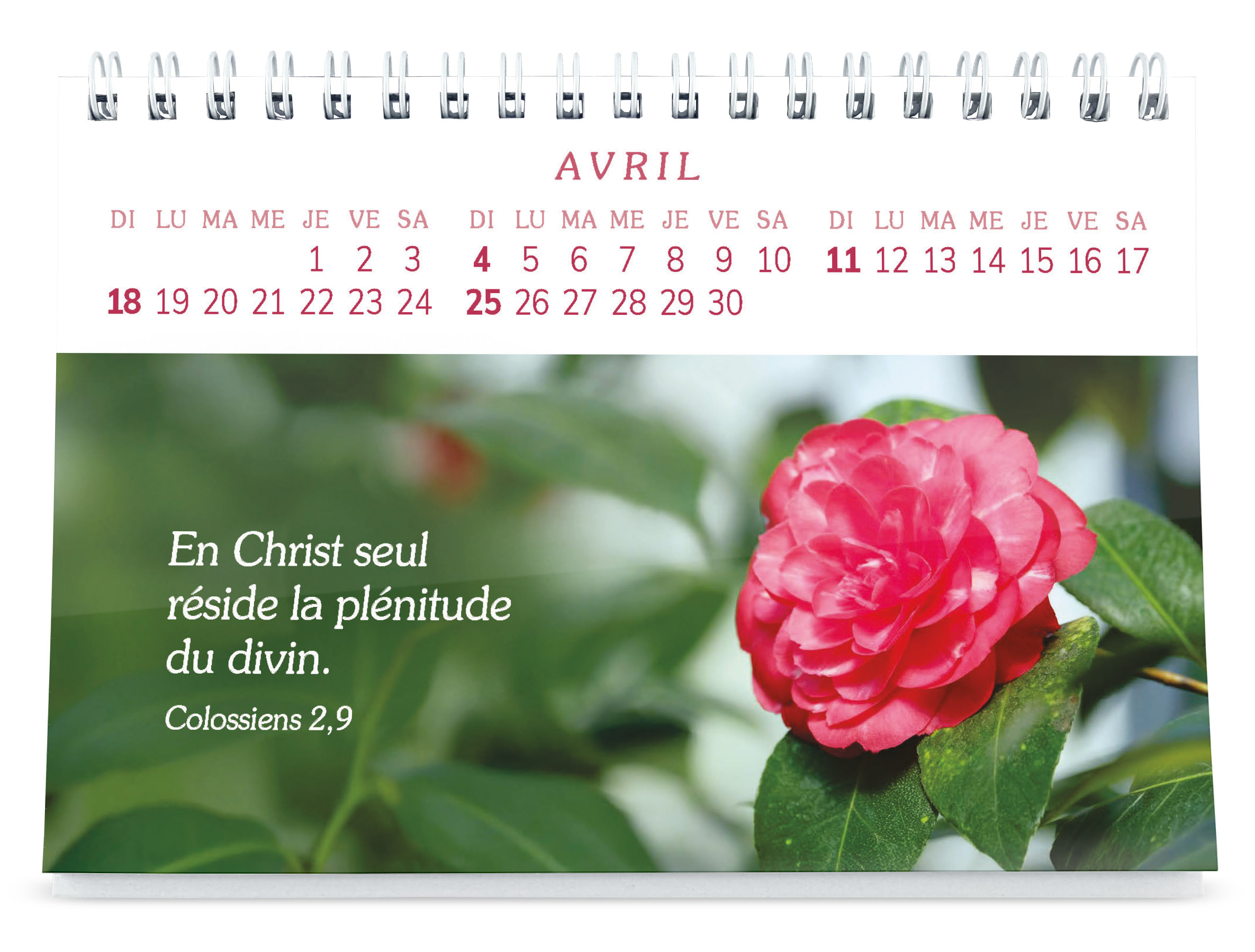 Plaisir d'offrir - Joli calendrier photo à gros caractères