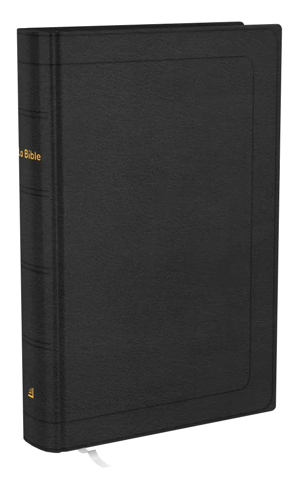 Bible Darby révisée format compact, cuir noir, tranche or