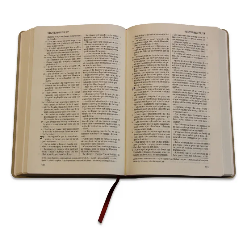 Bible Darby édition de Rolle, grand format, similicuir beige, souple