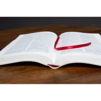 Bible Darby édition de Rolle, grand format, similicuir beige, souple