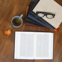 Bible Darby édition de Rolle, grand format, similicuir bicolore brun/beige, souple, tranche dorée