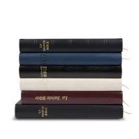 Bible Darby édition de Rolle, grand format, similicuir bicolore brun/beige, souple, tranche dorée