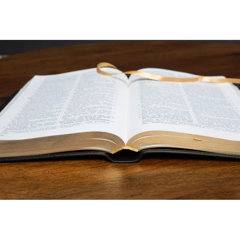 Bible Darby édition de Rolle, grand format, cuir noir sans rebord, souple, tranche dorée