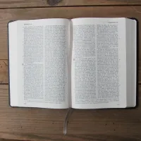 Bible Darby édition de Rolle, format moyen, similicuir noir, semi-rigide