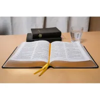 Bible Darby édition de Rolle gros caractères, grand format, cuir noir, souple