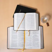 Bible Darby édition de Rolle gros caractères, grand format, cuir noir, souple