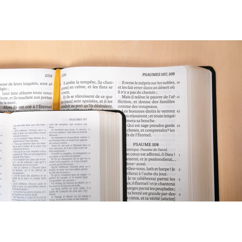 Bible Darby édition de Rolle gros caractères, grand format, cuir noir, souple
