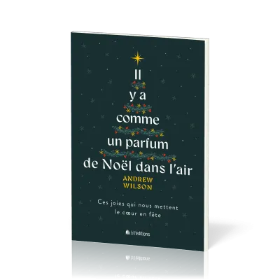 Il y a comme un parfum de Noël dans l'air - Ces joies qui nous mettent le cœur en fête