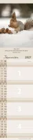 Pour vous (Animaux) - Calendrier cartes postales, vertical