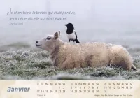 Bon berger  (Le) - Avec calendrier au dos pour tout noter - Calendrier cartes postales, horizontal