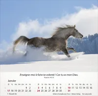 Chevaux, Merveilles de la création - Calendrier de table