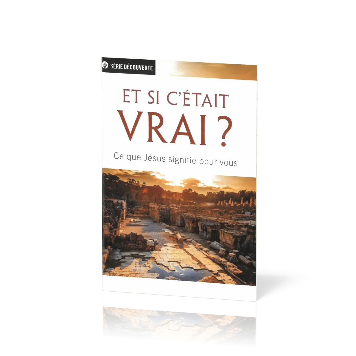 Et si c'était vrai ? - Ce que Jésus signifie pour vous [brochure NPQ série découverte]