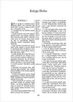 Polnisch, Bibel - gebunden dunkelblau - Piesmo Swiete - Modernisierte Danziger Bibel