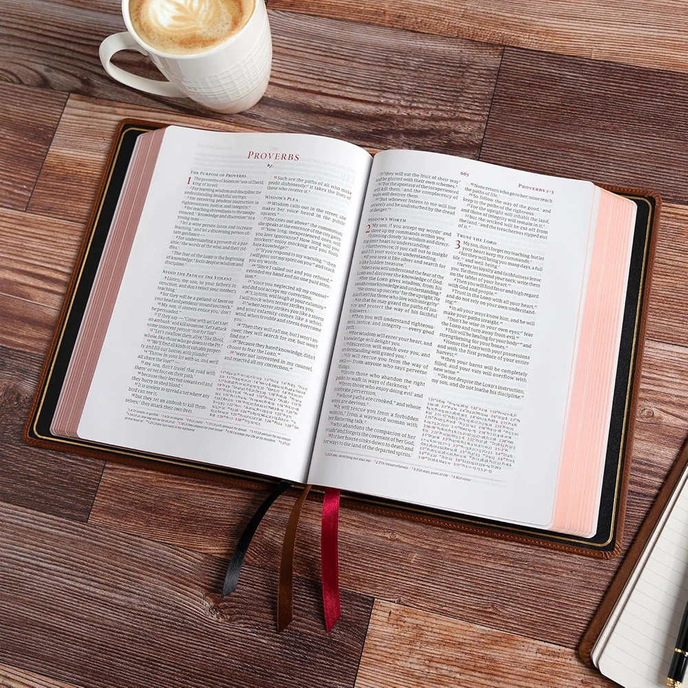 Englisch, Christian Standard Bible Bibel, Grossformat - Leder braun, Lesezeichen, Goldschnitt