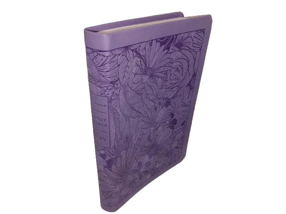 Anglais, Bible King James Version, similicuir, violet