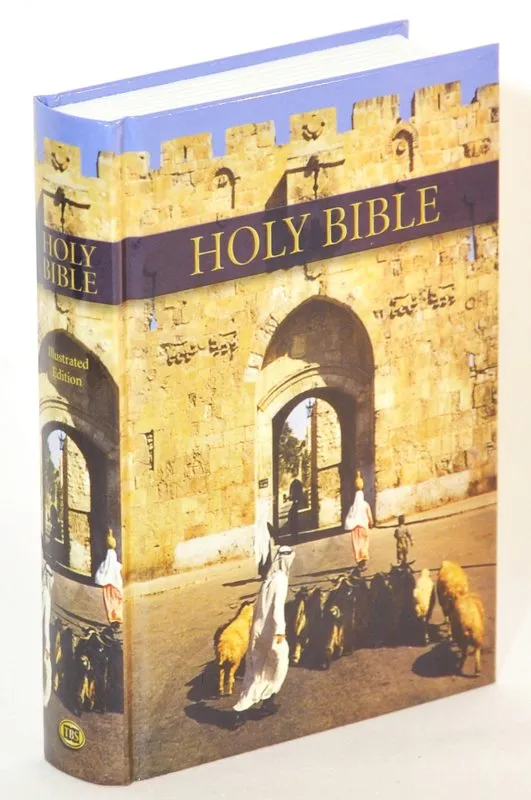 Anglais, Bible King James Version, rigide, couverture illustrée, petit format