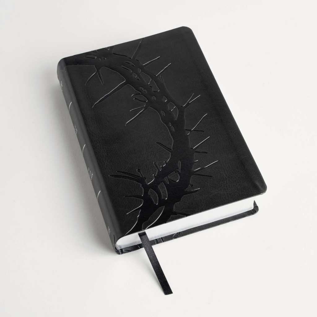 Anglais, Bible, King James Version, gros caractères, simillicuirs, noir charbon