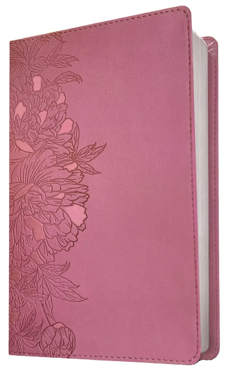 Anglais, Bible, New Living Translation, gros caractères, Filament Edition, similicuir rose...