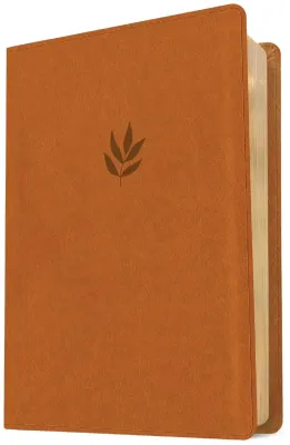 Anglais, Bible, New Living Translation, très gros caractères, similicuir brun, paroles de Jésus...