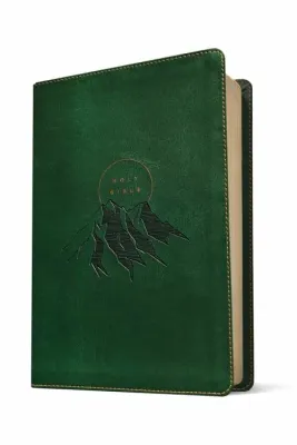 Anglais, Bible New Living Translation, très gros caractères, similicuir, verte, motif montagne