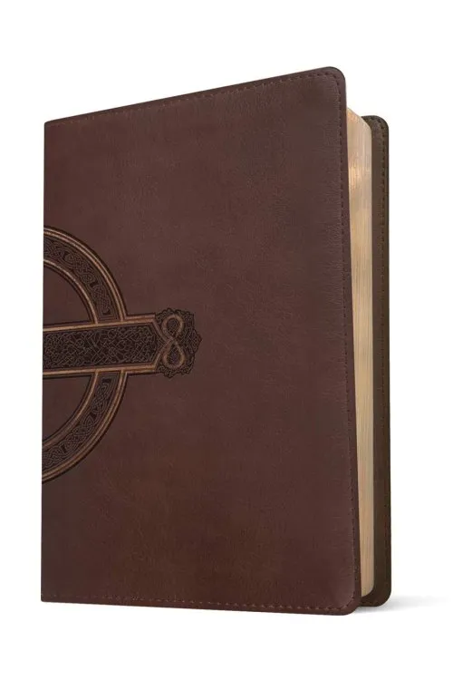 Anglais, Bible, New Living Translation, très gros caractères, Filament Edition, similicuir brun...