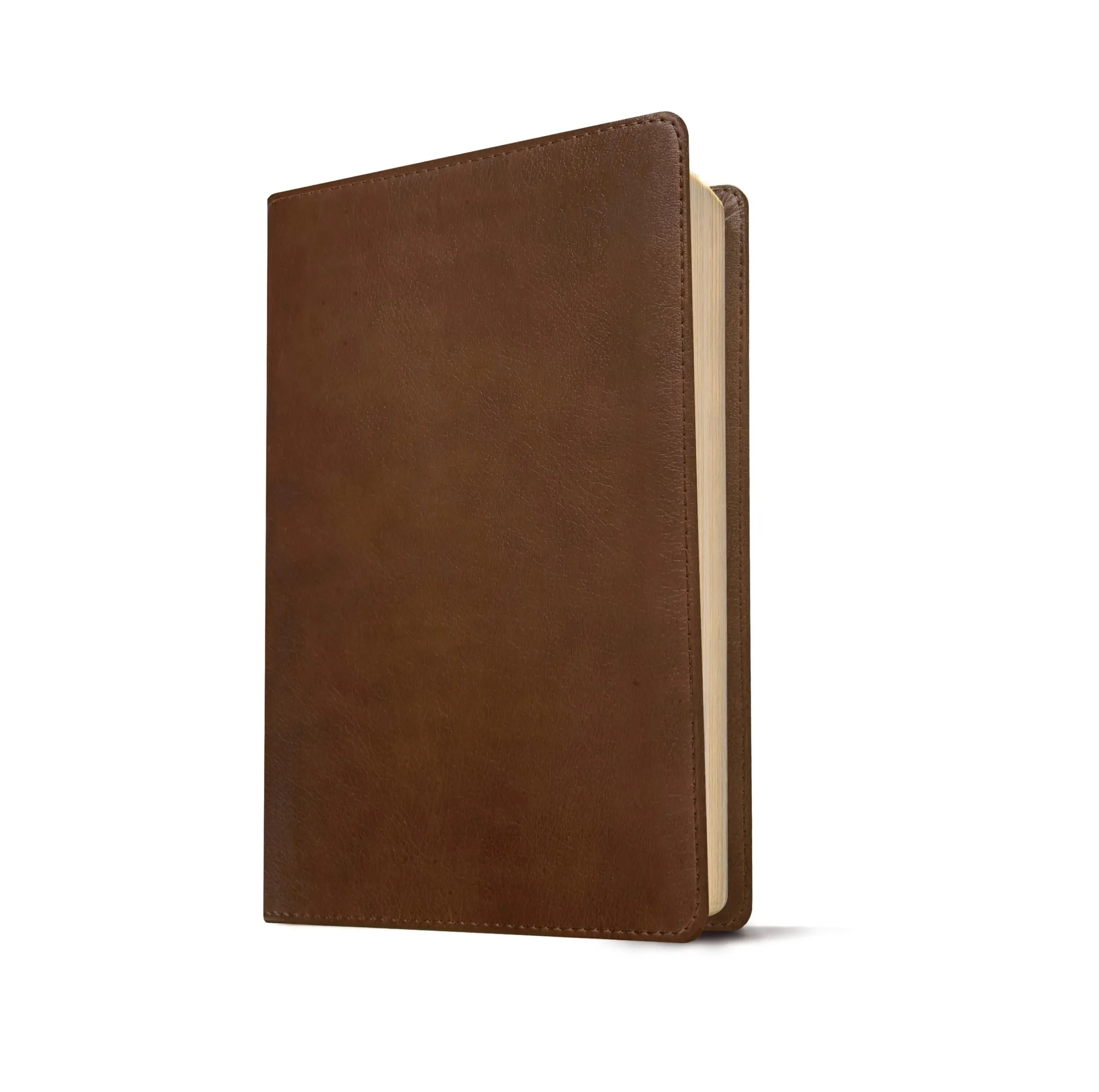 Anglais, Bible de référence New Living Translation, similicuir souple, brune