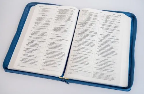 Anglais, Bible, NIV, gros caractères, couverture bleue avec fleurs stylées, fermeture éclair -...