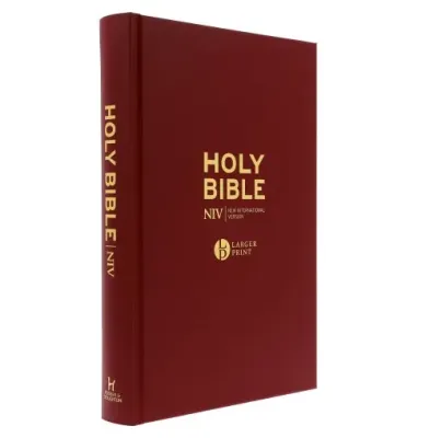 Anglais, Bible, New International Version, NIV,  gros caractères, bordeaux