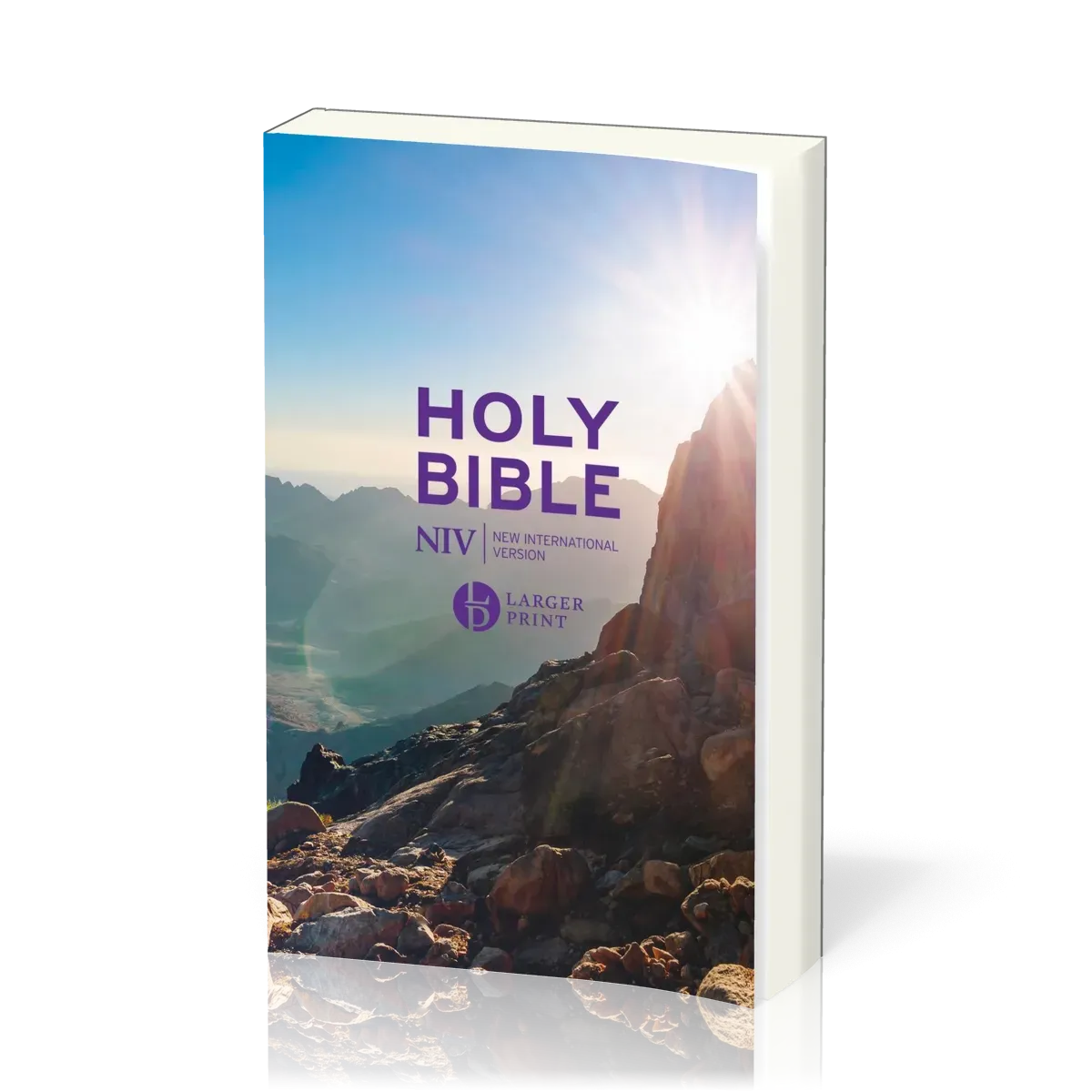 NIV Larger Print Personal Value Hardback Bible