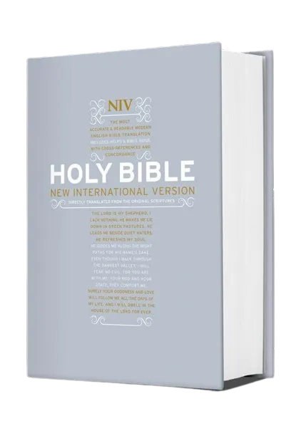 Anglais, Bible de référence, New International Version, Reliée - NIV Popular Hardback Bible with...