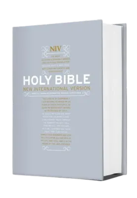 Anglais, Bible de référence, New International Version, Reliée - NIV Popular Hardback Bible with...
