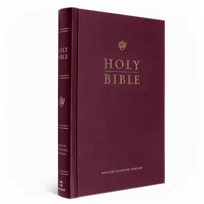 Anglais, Bible New International Version - cartonée noir
