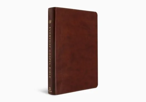 Anglais, Bible, English Standard Version, Every Day Gospel Bible - ESV Everyday Gospel Bible