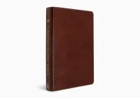 Anglais, Bible, English Standard Version, Every Day Gospel Bible - ESV Everyday Gospel Bible