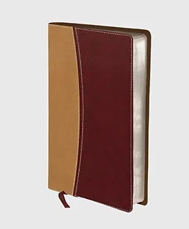 Anglais, Bible Amplified, compact, similicuir, couverture bicolore beige/bordeaux
