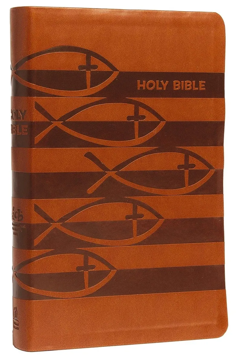 Anglais, Bible international pour les enfants, fibrocuir, brune