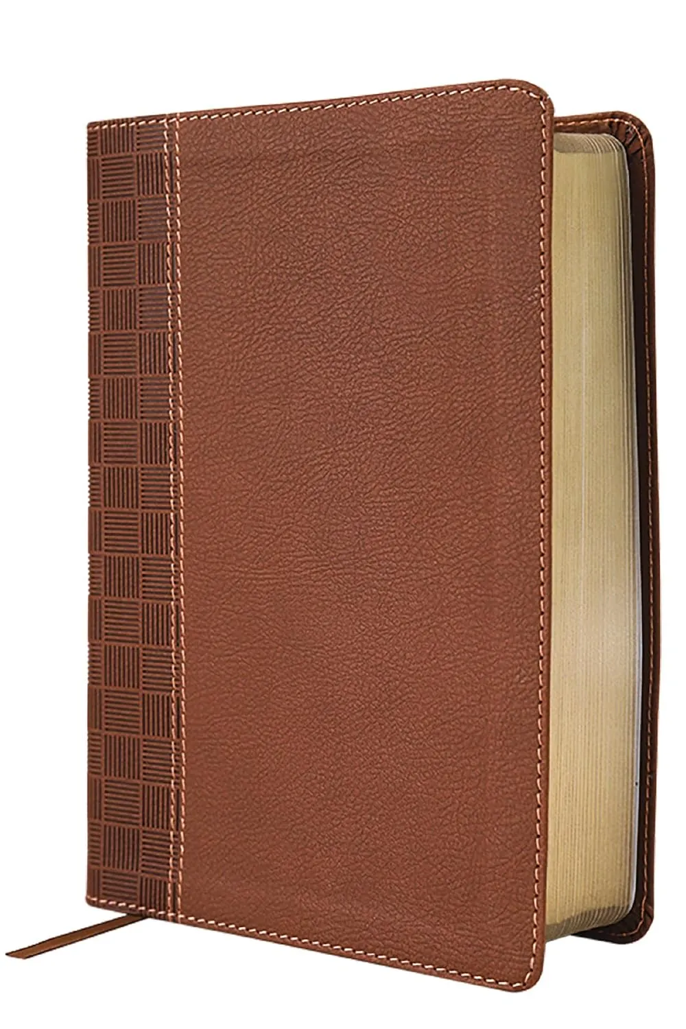 Anglais, Bible, New International Reader's Version, moyen format, gros caractères, similicuir...