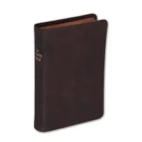 Bible Darby édition de Rolle, format moyen, cuir brun, souple, tranche or