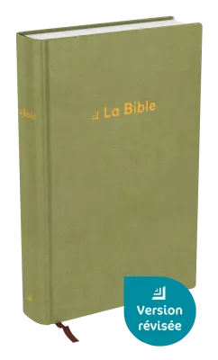 Bible Darby révisée format standard, rigide velours vert olive