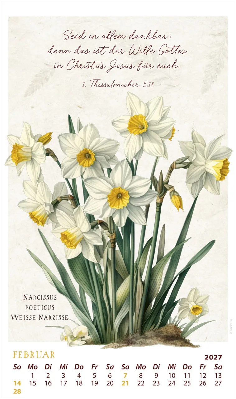 SchmuckStücke des Schöpfers - Posterkalender