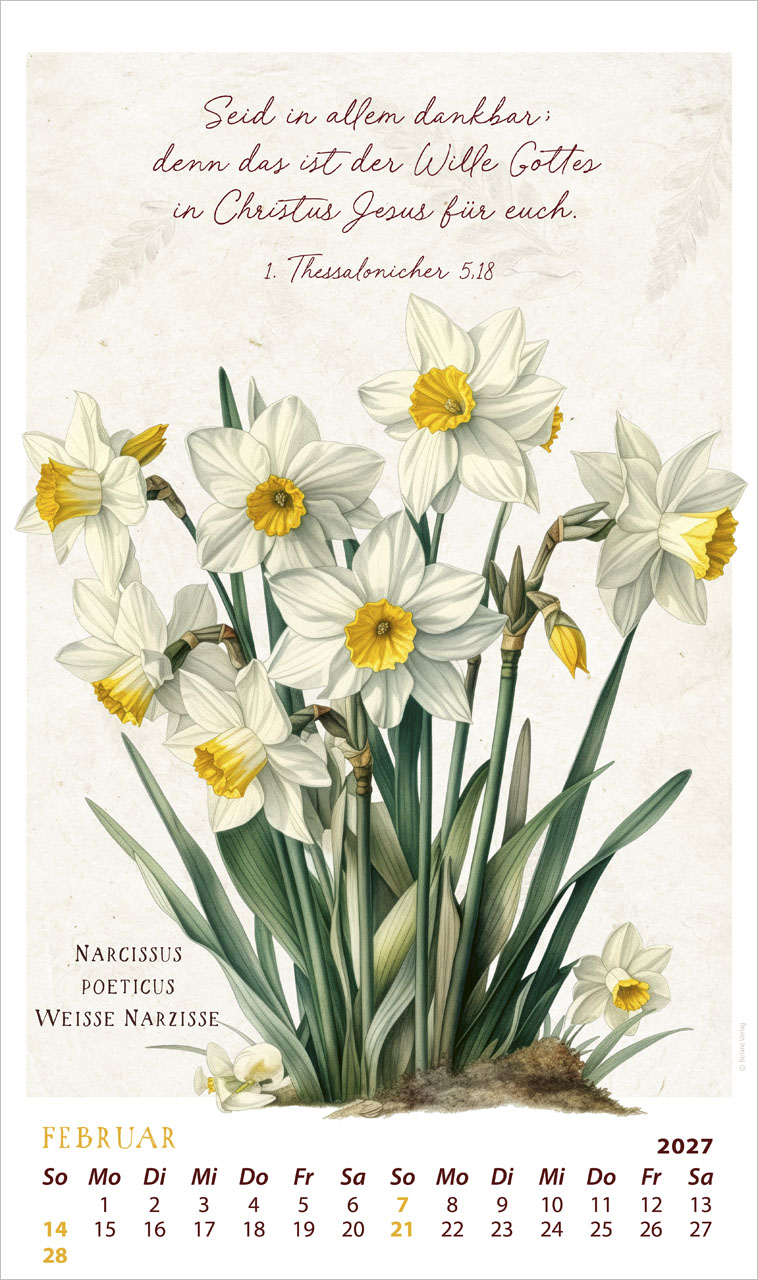 SchmuckStücke des Schöpfers - Posterkalender