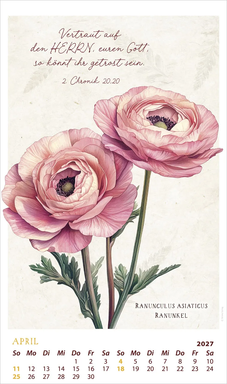 SchmuckStücke des Schöpfers - Posterkalender