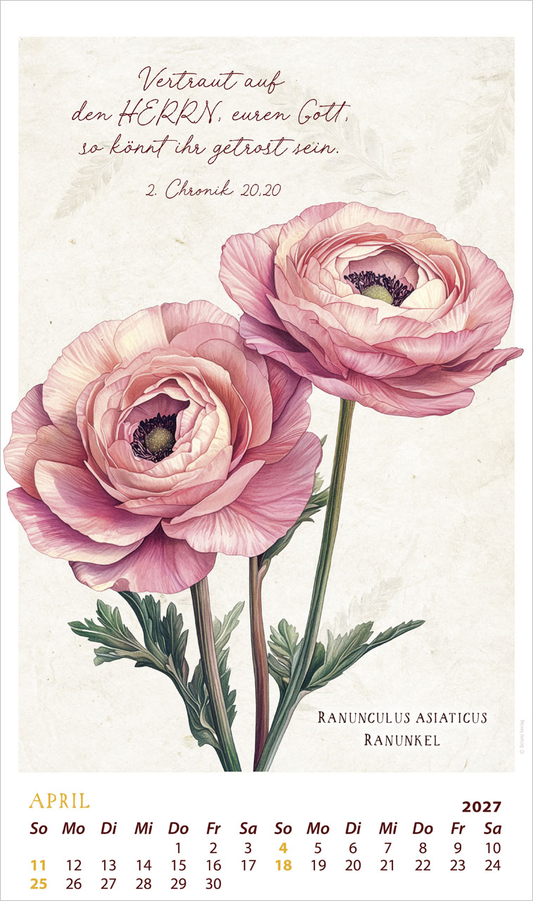 SchmuckStücke des Schöpfers - Posterkalender