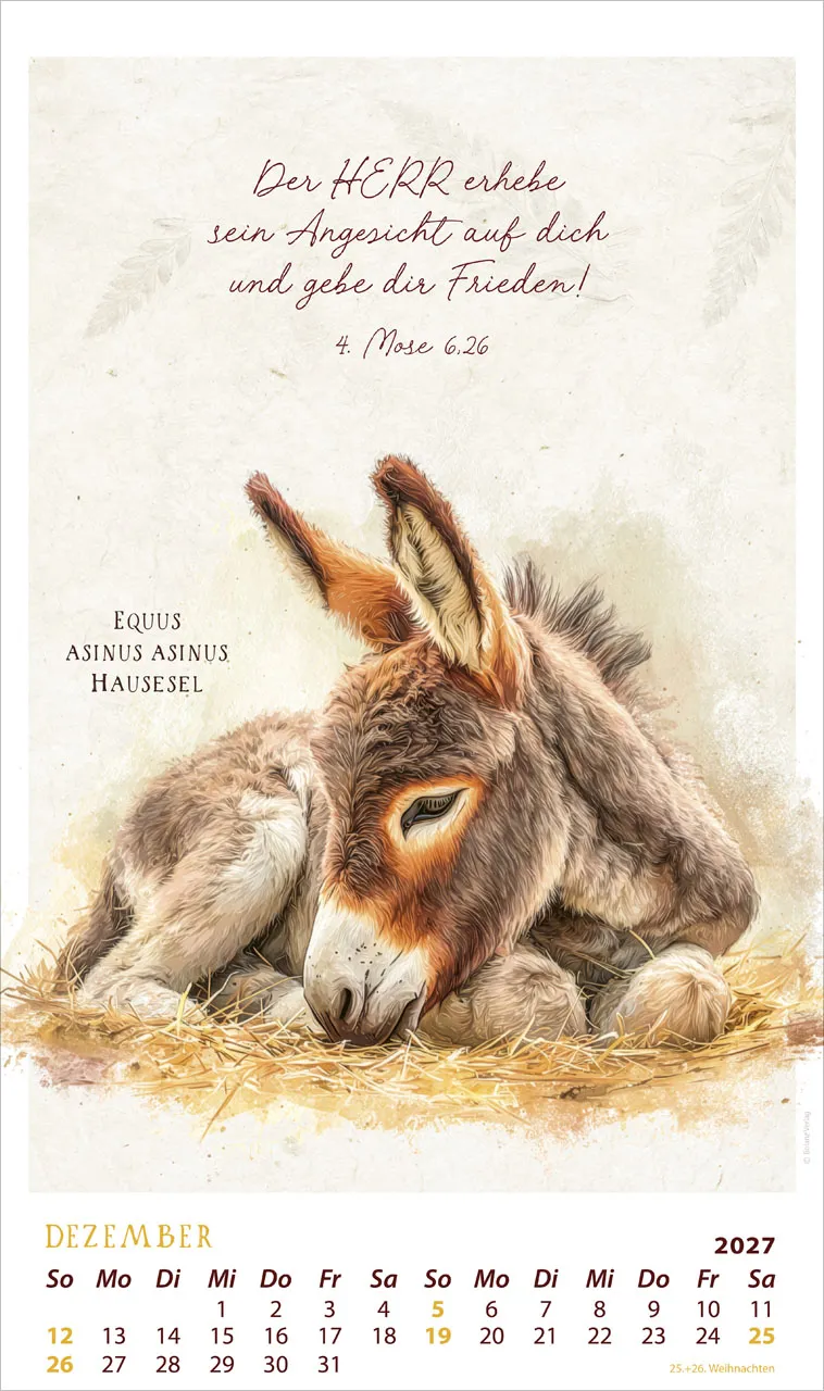 SchmuckStücke des Schöpfers - Posterkalender