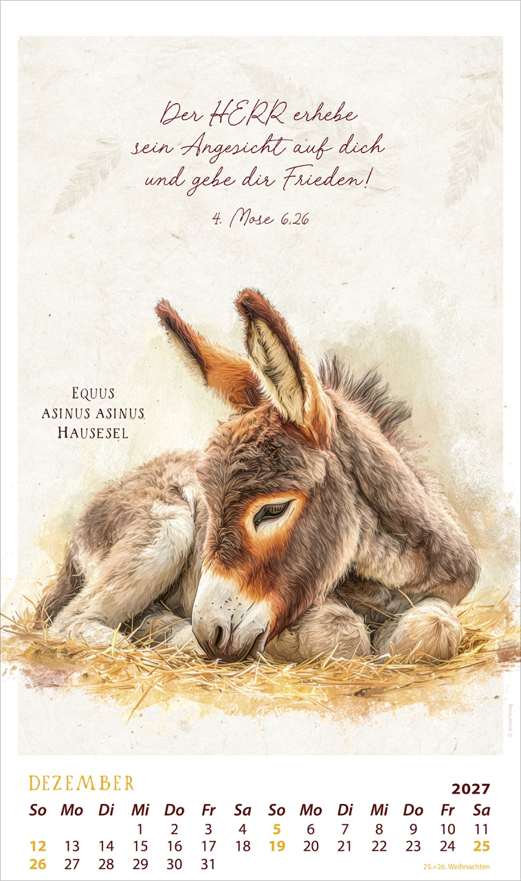 SchmuckStücke des Schöpfers - Posterkalender