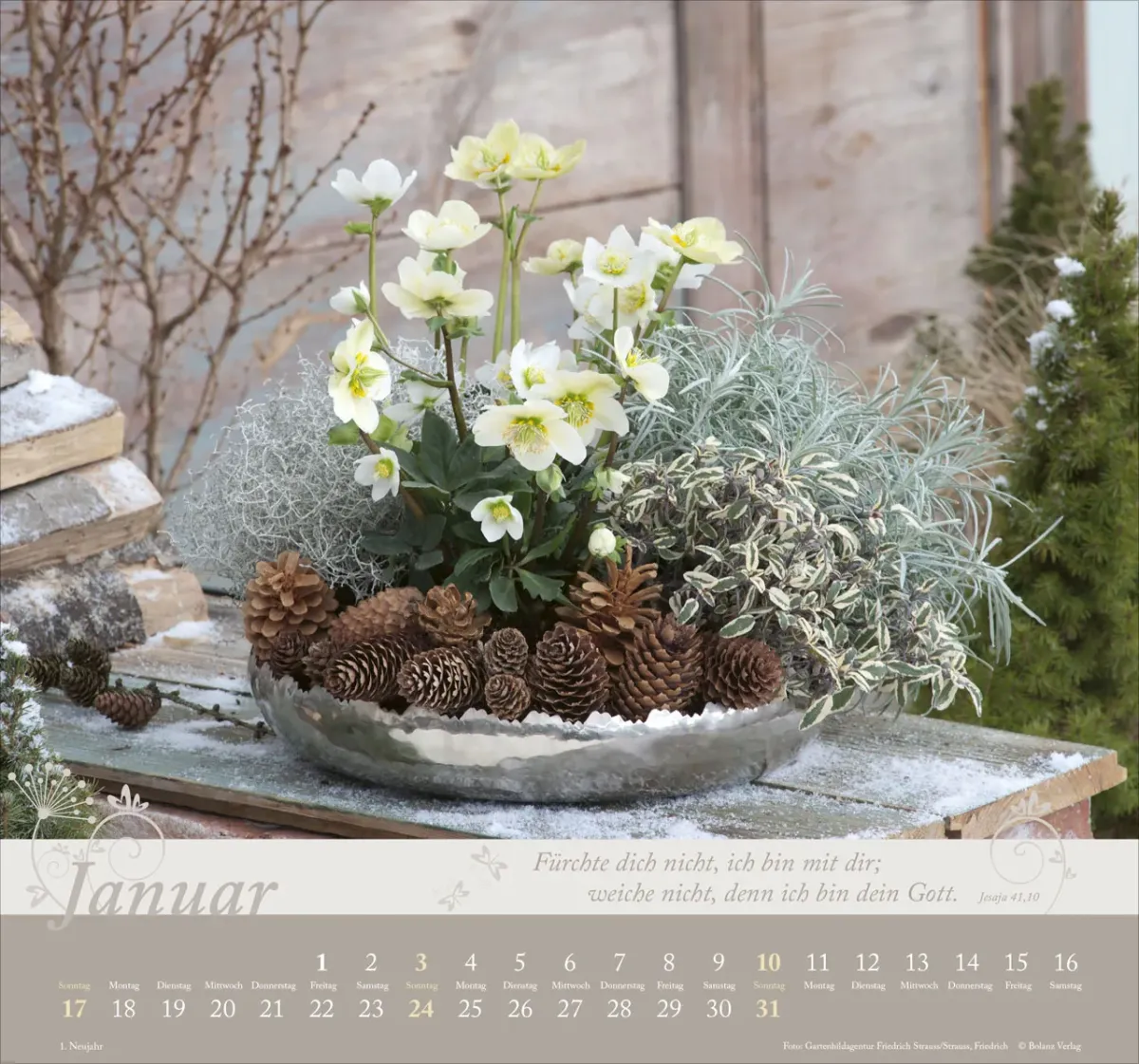Im Garten zuhause - Wandkalender