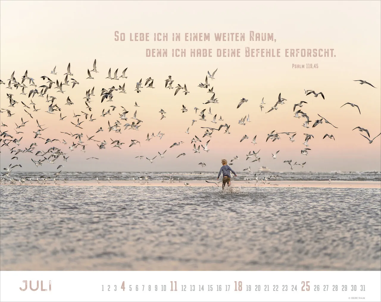 Freiheit - Panorama-Super-Wandkalender